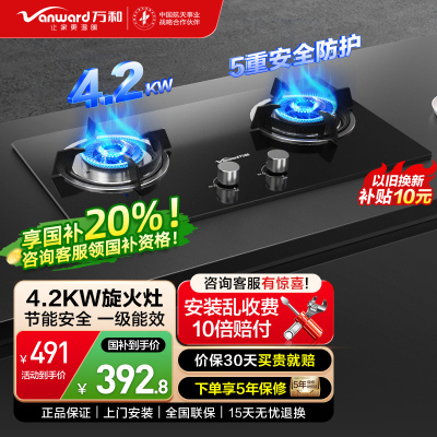 万和 燃气灶 煤气灶液化气 钢化玻璃灶具 一级能效 4.2KW火力 台嵌两用B3L20液化气