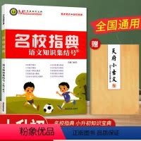 [正版]中小学名校阅读宝典名校指典语文知识集结号 中小学生四五六年级小升初语文知识集锦拼成语诗歌文化常识文学常识大全成