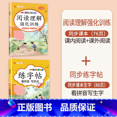 阅读理解+同步练字帖 一年级下 [正版]2023新版一年级下册语文阅读理解专项强化训练书人教版训练题课外与答题模板技巧每