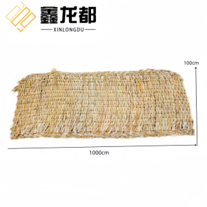 鑫龙都