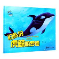 正版新书]海洋乐园情商系列?归队的虎鲸哈罗德糖朵朵97875210020