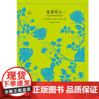 乱世佳人 上下册 译文40 玛格丽特·米切尔 著 小说
