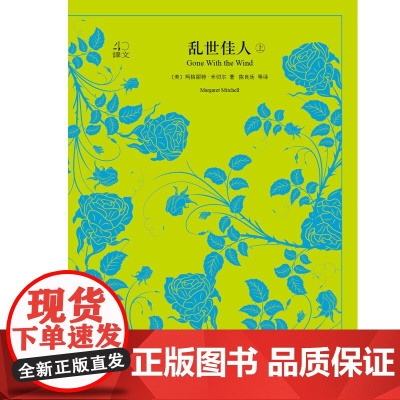乱世佳人 上下册 译文40 玛格丽特·米切尔 著 小说