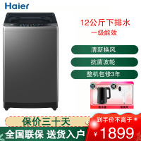 海尔(Haier)波轮洗衣机全自动 12公斤大容量 漩瀑洗 全桶换风 除菌 直驱变频 桶自洁EB120B53Mate1