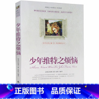 [正版]选4本44元 少年维特之烦恼 原版 小学生三四五七八六年级 青少年版初高中生9-10-12-15周岁世界文学名著