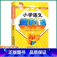 小学语文资料包 小学通用 [正版]2025新版 小考专家小学资料包一年级二年级三年级四年级五年级六年级语文辅导教辅精华本