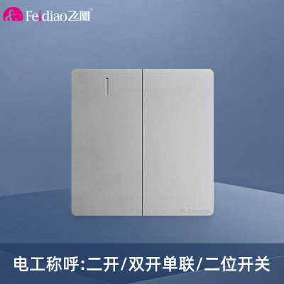 飞雕(FEIDIAO)开关面板A7纯平大板 单控开关 二开单控电源墙壁开关面板 A7月光银二开单控