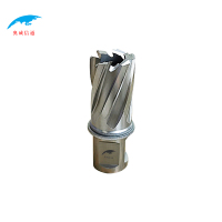 奥威信通 钻头/21.5mm 个