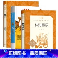 童年+林海雪原+草房子 [正版]童年高尔基书籍 人民文学出版社 六年级上册必读课外书 小学生课外阅读书籍6年级快乐读书吧
