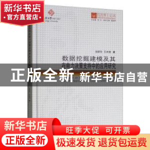 正版 数据挖掘建模及其在电力决策支持中的应用研究 翁颖钧,石