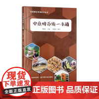 正版 中意蜂养殖一本通 319561 李淑琼 2024.05