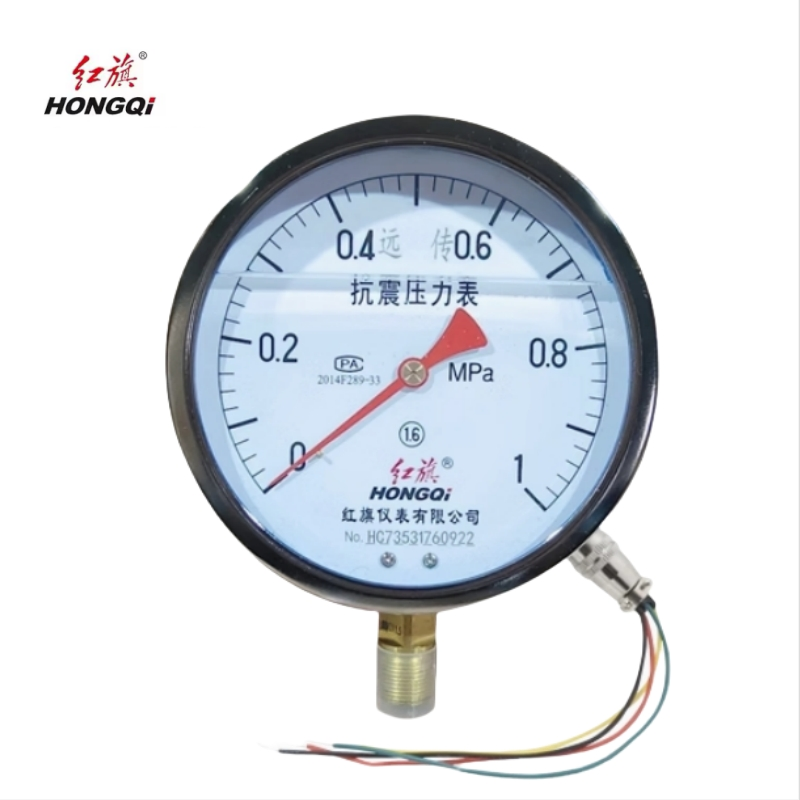 红旗 耐震远传压力表 YTZN150 (压力值需备注) 块