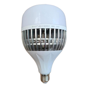 洛安斯 LED灯泡球泡灯 80W 个