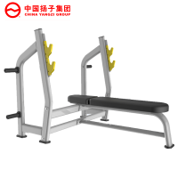 扬子(YANGZI)豪华平卧推架YZ-J023