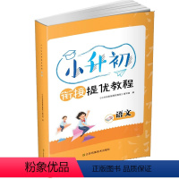 语文 小学六年级 [正版]2023新版小升初数学衔接提优教程苏教小学数学6六升7七 年级暑假作业练习册小升初系统总复习必