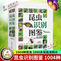 [醉染正版]正版 昆虫识别图鉴 1004种昆虫1600多张高清照片自然百科知识读物全书科普书韩永植动物昆虫图鉴识别辨