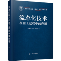 音像流态化技术在化工过程中的应用王祝安著;刘梦溪;卢春喜
