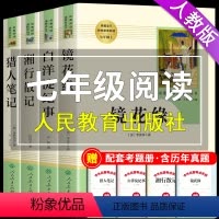 [正版]全套4册 镜花缘李汝珍白洋淀纪事湘行散记猎人笔记原著人民教育出版社七年级上册必读课外书名著初一阅读书籍初中生人
