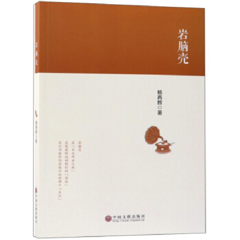 正版新书]岩脑壳杨再辉著9787519038762
