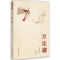 正版新书]巨淀湖陈兴旺9787503491689