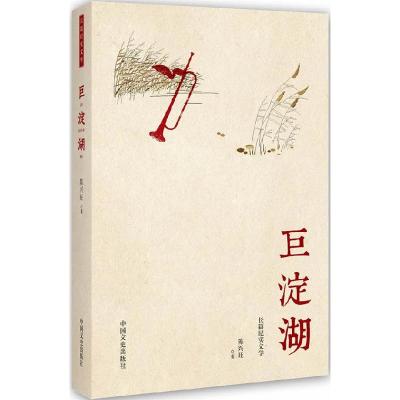 正版新书]巨淀湖陈兴旺9787503491689