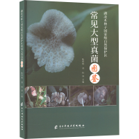 正版新书]湖北木林子国家级自然保护区常见大型真菌图鉴陈绍林,