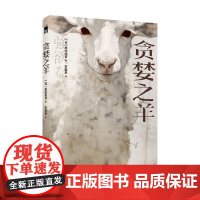 贪婪之羊 美轮和音 著 小说
