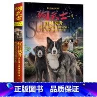 二部曲4:红月初升 [正版]狗武士全套12册 狗武士首部曲二部曲外国经典动物小说作者艾琳亨特猫武士系列作品集小学生7-1