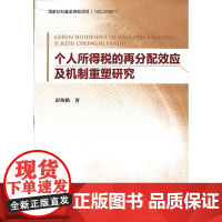 个人所得税的再分配效应及机制重塑研究
