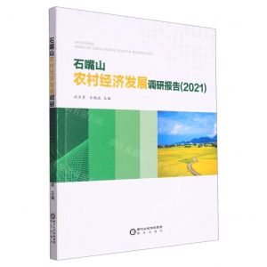 [N]石嘴山农村经济发展调研报告(2021)-9787552565874