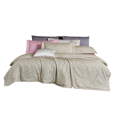 华人情思 拉斐全棉底纹绣花四件套 200*230cm/套