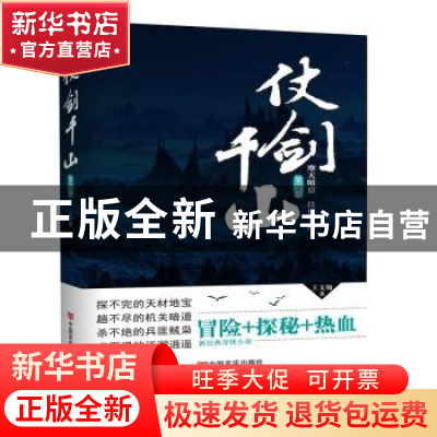 正版 仗剑千山:第四部:摩天暗窟 技压釜山 王文翰 中国言实出版社