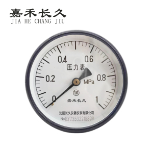 嘉禾长久 轴向压力表检测定制型 Y100Z 块