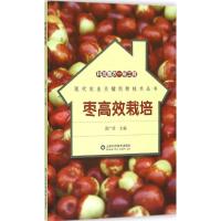 正版新书]枣高效栽培周广芳9787533180003