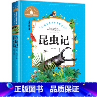 昆虫记 [正版]昆虫记注音版 法布尔著书 小学生三年级必读的课外书原著一年级二年级全集非完整版拼音绘本大字带彩图全册儿童