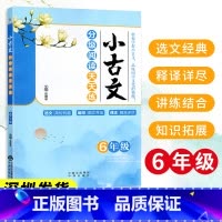 小古文分级阅读天天练 小学六年级 [正版]2022版小古文分级阅读天天练 6年级/六年级上下册 小学文言文阅读与训练分级