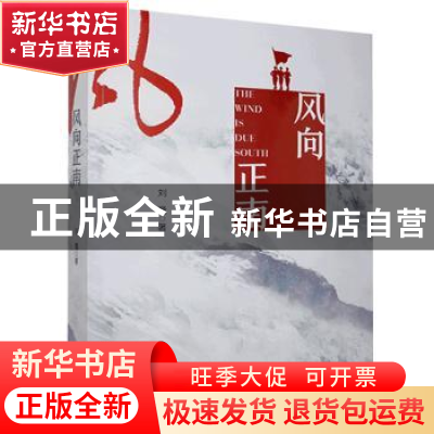 正版 风向正南:长篇小说 刘巍 中国文史出版社 9787520526456 书