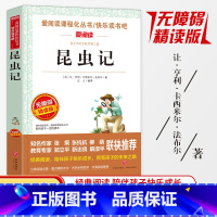 昆虫记 [正版]同系列3本28元名师导读版 法布尔昆虫记初中生阅读书 八年级8-9-11-12岁五六七四年级中小学生版青