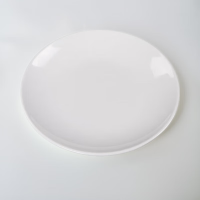 A5密胺浅盘商用自助餐圆盘菜盘仿瓷餐盘 10英寸1个