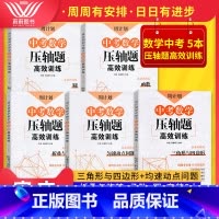 [正版]周计划中考数学压轴题高效训练圆+匀速动点问题+函数+三角形与四边形+折叠与旋转答案详解版周周有安排日日有进步中