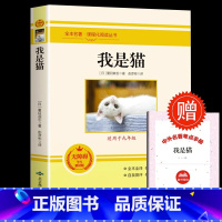 [配套人教版]我是猫 [正版]书籍 简爱和儒林外史全2册原着完整版九年级下册必读书无删减初三初中学生课外书阅读读物经典名