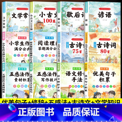 小学必备[全12册]小学语文基础知识积累全套 小学通用 [正版]小学生优美句子积累语文修辞手法句子训练好词好句好段积累小