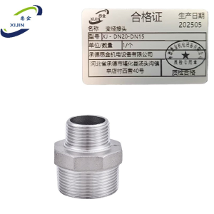 悉金 变径接头 XJ - DN20-DN15 个