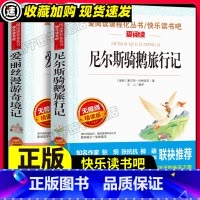 骑鹅历险记爱丽丝漫游奇境 [正版]骑鹅旅行记/爱丽丝漫游奇境记原著 小学生二三四五六年级阅读课外书必书籍书目 快乐读书吧