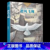 《逆风飞翔》-湖南少年儿童出版社 [正版]逆风飞翔湖南少年儿童出版社叶梦贵州整本书阅读笔墨书香经典阅读六年级上册全套课外