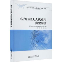 音像电力行业机应用典型案例倪祺,丁建主编
