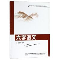 正版新书]大学语文/高等教育公共基础课精品系列规划教材王雅菲