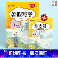 [1升2年级]暑假语文字帖·楷书 [正版]暑假练字帖正楷一二三四五年级下册人教版小学生语文生字暑假字帖笔画笔顺临摹描红练