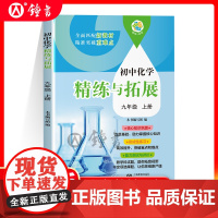 初中化学精练与拓展九年级上册中考化学9上初中教辅全面匹配新教材精准突破重难点核心知识巩固能力测试与评价上海教育出版社