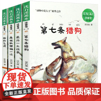 全套沈石溪动物小说全集4册第七条猎狗最后一头战象斑羚飞渡再被狐狸骗一次注音版经典名著一二年级读小学生课外书带拼音6-9岁